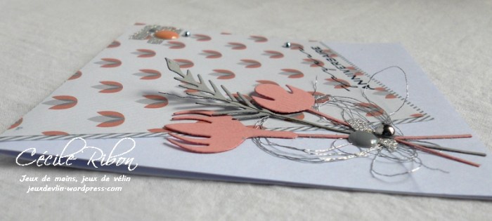 Carte Laura - DSCN3847