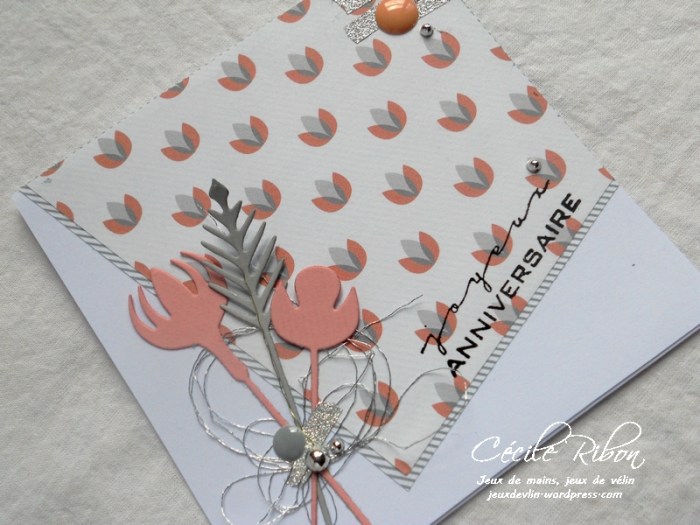 Carte Laura - DSCN3853