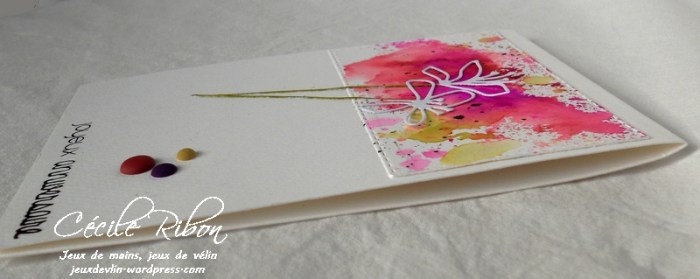 Carte Vicky - DSCN3944