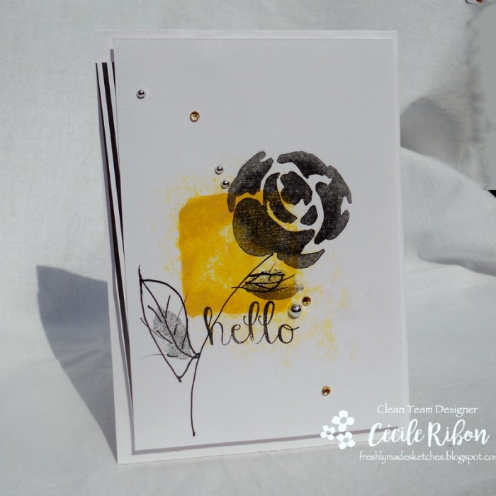 Carte FMS347 - DSCN6266