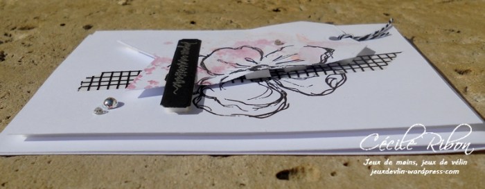 Carte Maniak182 - DSCN6301