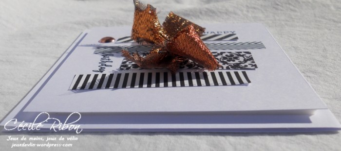 Carte CTD504 - DSCN6488