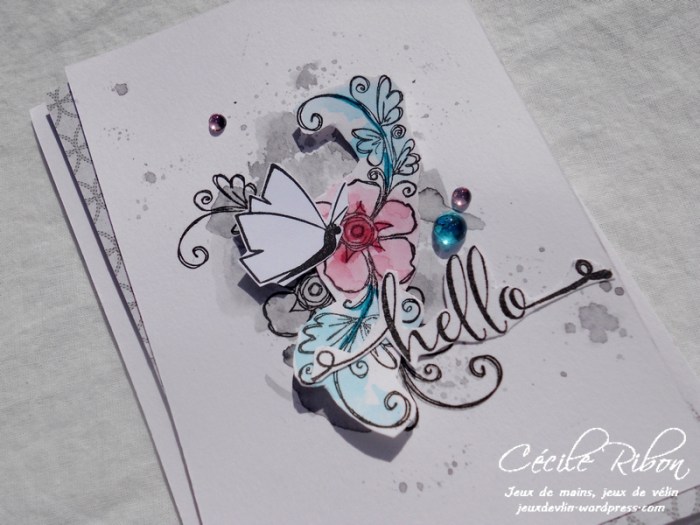 Carte CTD505 - DSCN6615