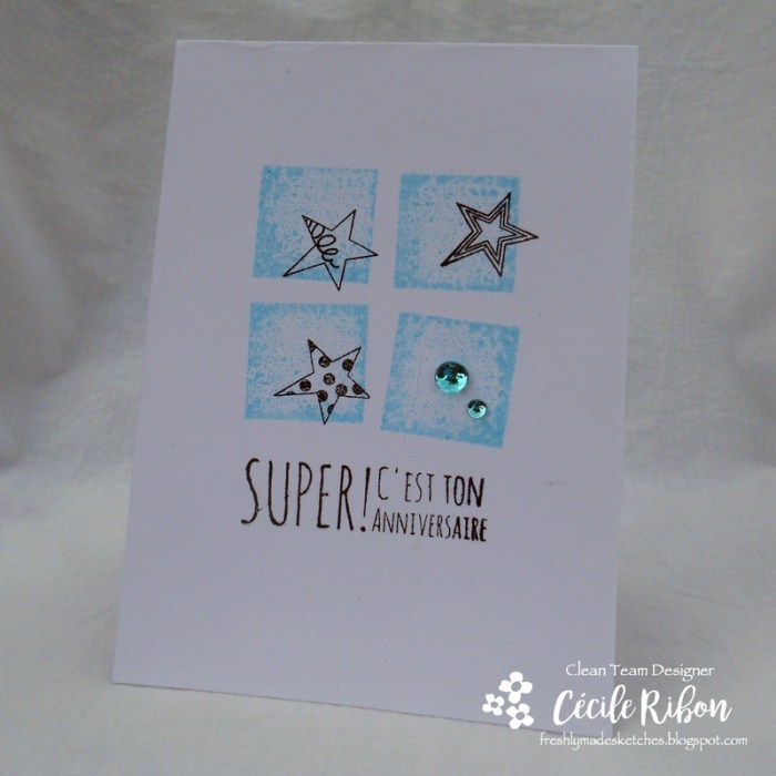 Carte FMS348 - DSCN6329