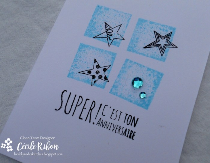 Carte FMS348 - DSCN6335