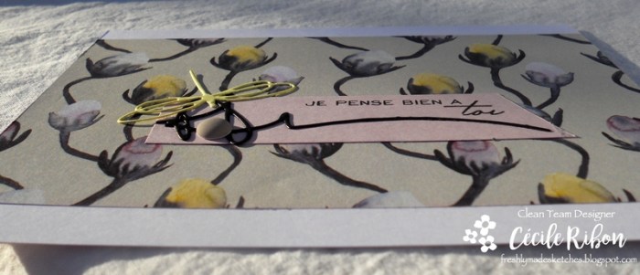 Carte FMS351 - DSCN6688