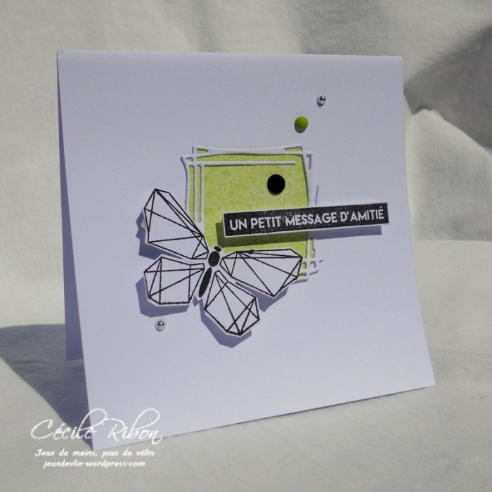 Carte Maniak183 - DSCN6388