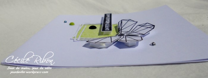 Carte Maniak183 - DSCN6391