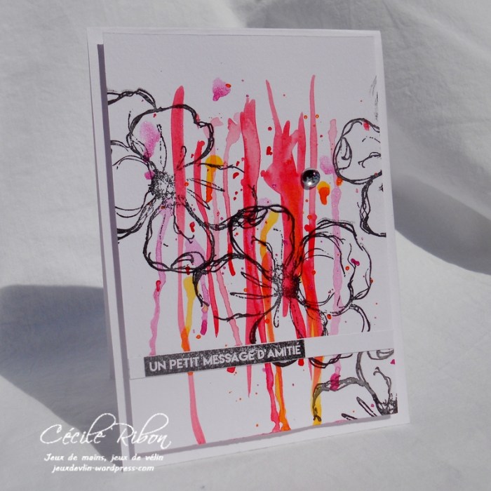 Carte AIDSep18S1 - DSCN6410