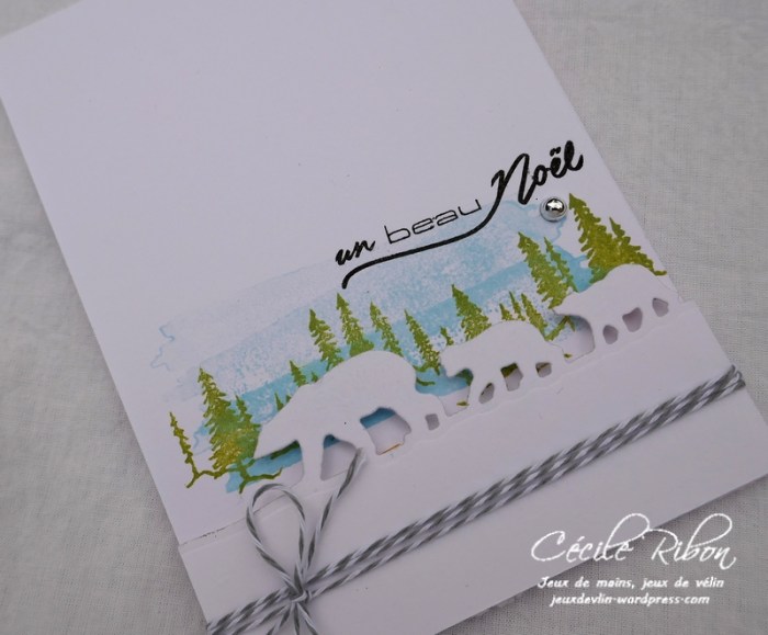 Carte CTD512 - P1000162