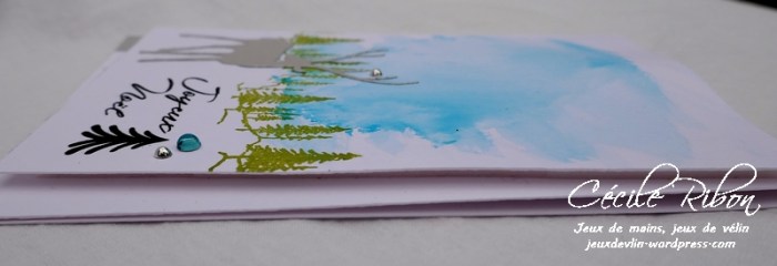 Carte CTD512 - P1000171