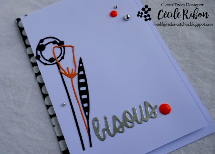 Carte FMS354 - P1000030