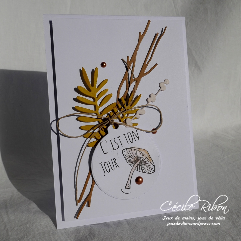 Carte Creablabla357 - P1000505