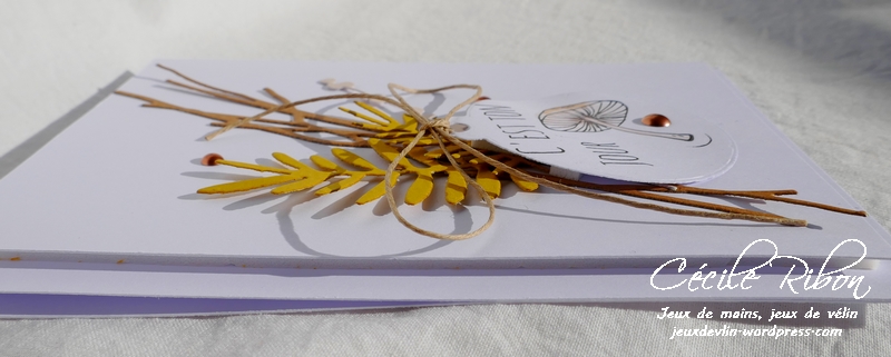 Carte Creablabla357 - P1000506