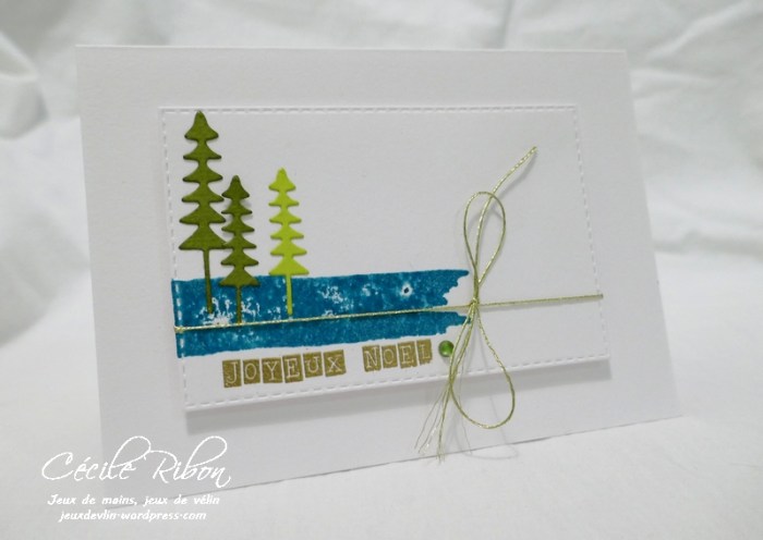 Carte CTD513 - P1000234