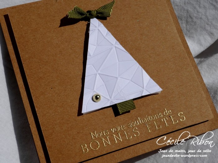 Carte CTD515 - P1000449