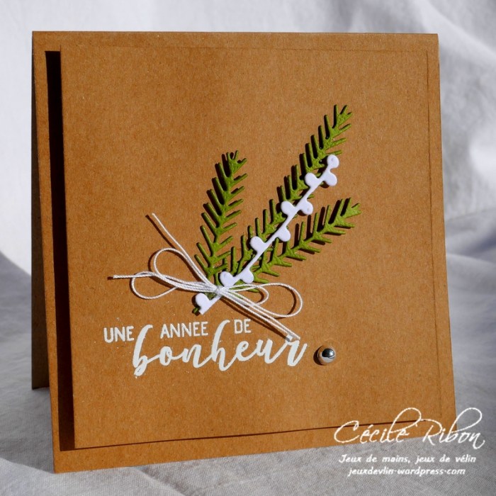 Carte CTD515 - P1000452