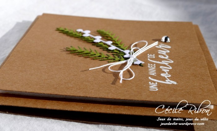 Carte CTD515 - P1000454