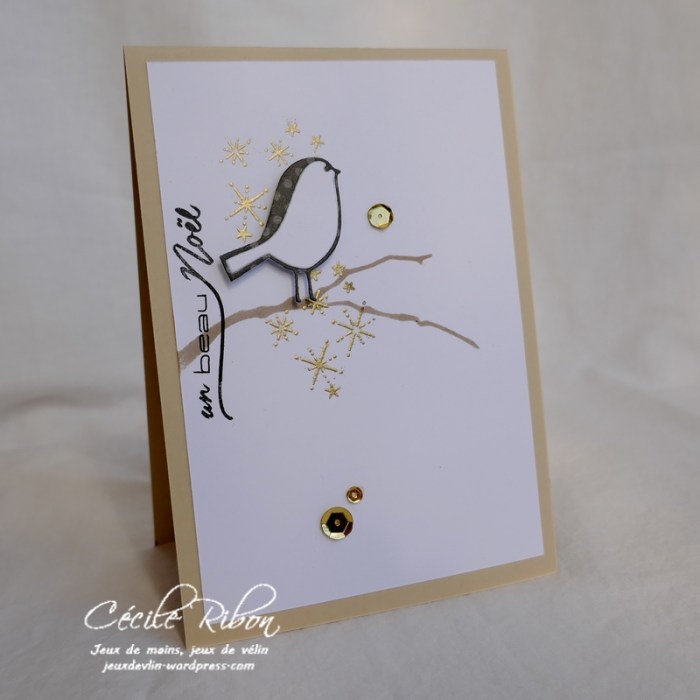 Carte CTS292 - P1000276