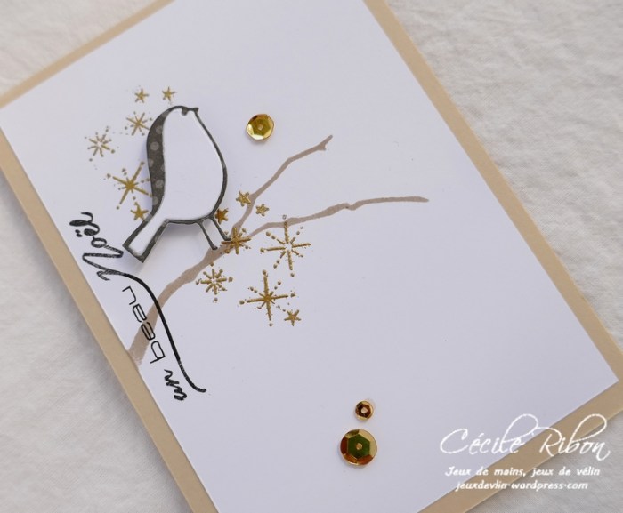 Carte CTS292 - P1000279