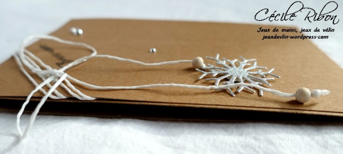 Carte CTS295 - P1000676