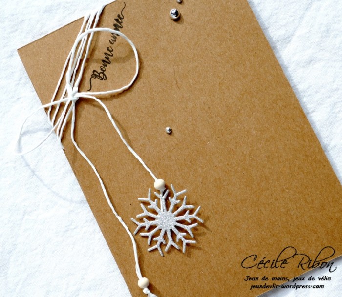 Carte CTS295 - P1000681