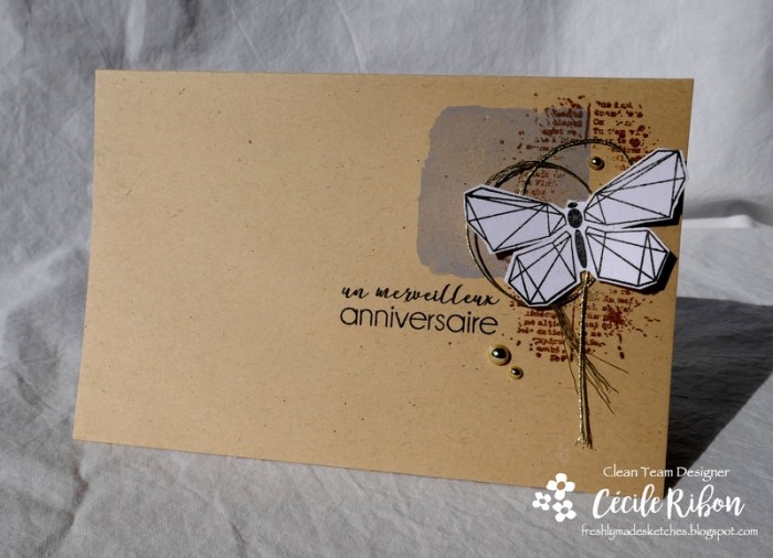 Carte FMS359 - P1000352