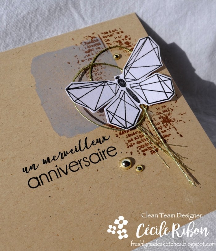 Carte FMS359 - P1000356