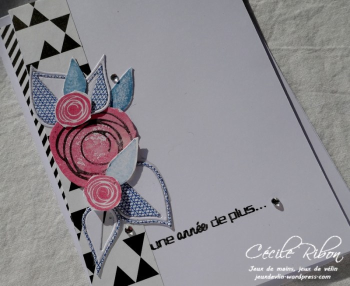 Carte Fusion39 - P1000470