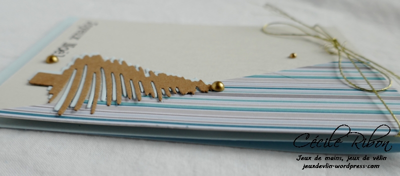 Carte Maniak188 - P1000599