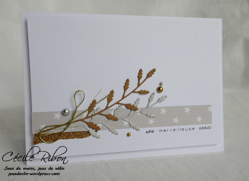 Carte Maniak188 - P1000622