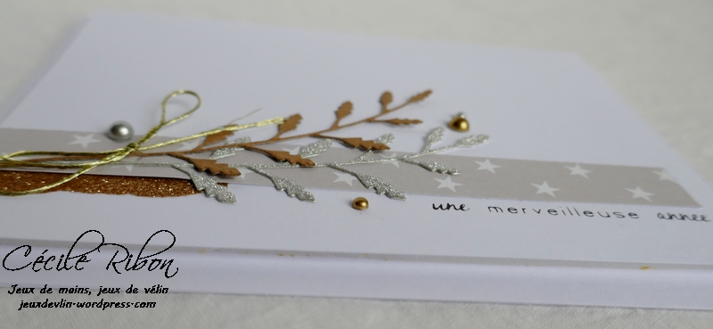 Carte Maniak188 - P1000624