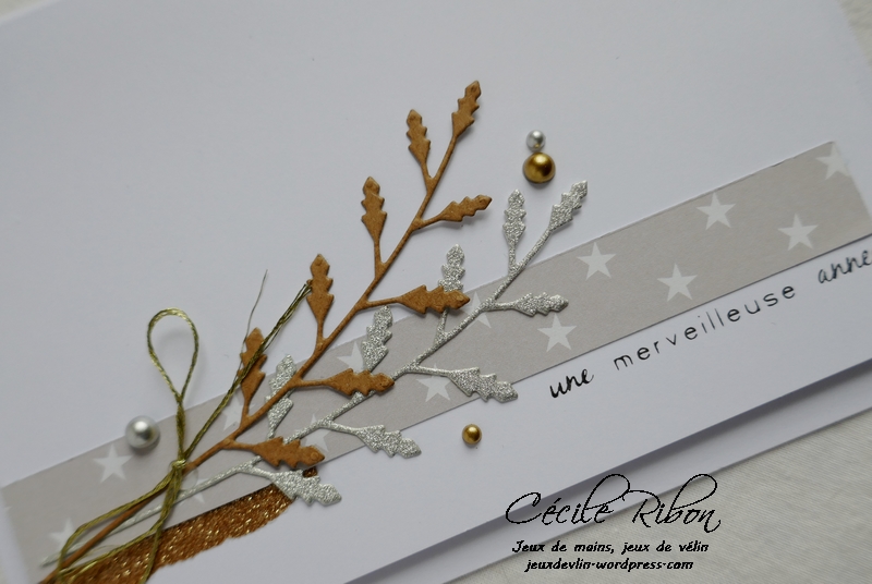 Carte Maniak188 - P1000626