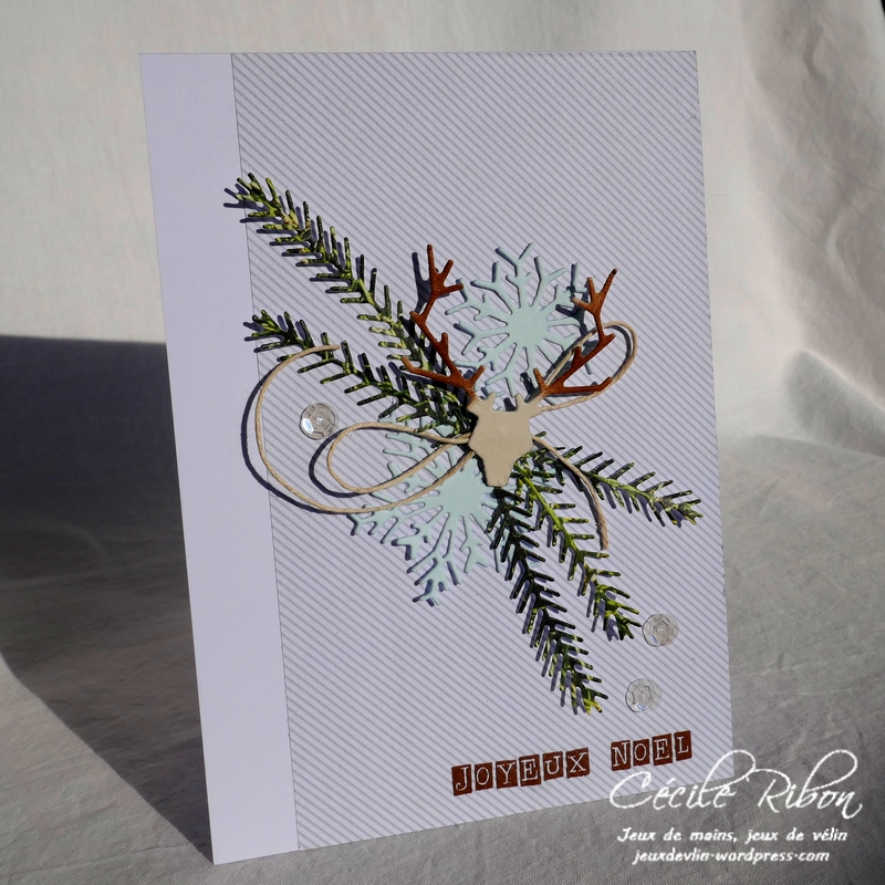 Carte AID42 - P1000722