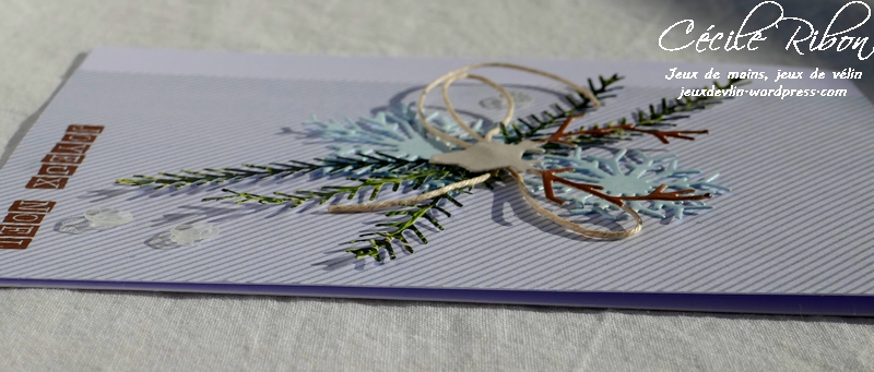 Carte AID42 - P1000730