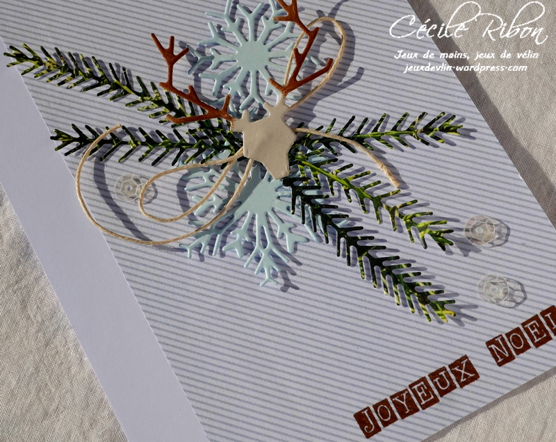 Carte AID42 - P1000734