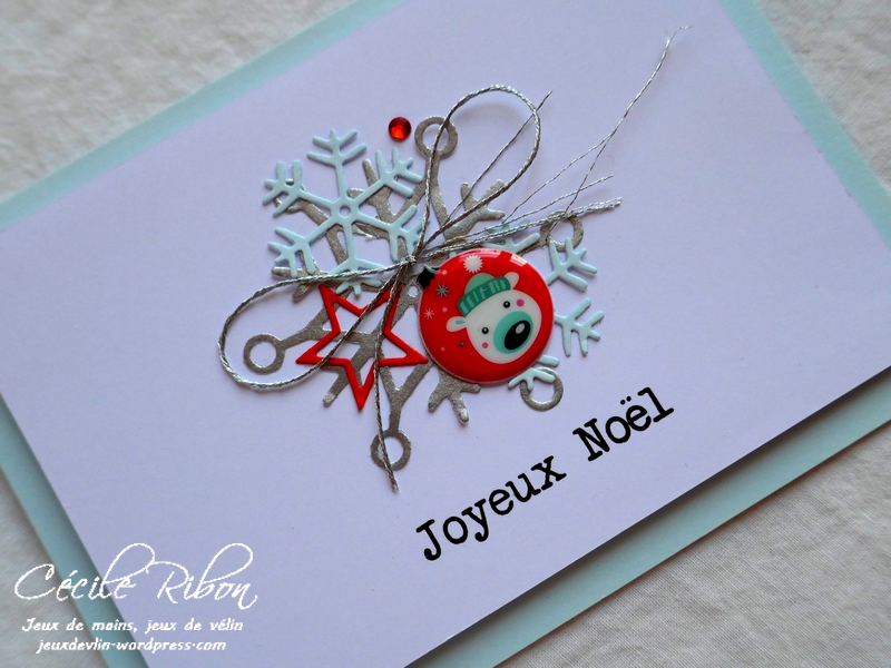 Carte CTD519 - P1010148