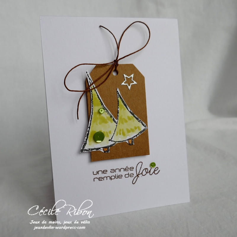 Carte CTD520 - P1010179