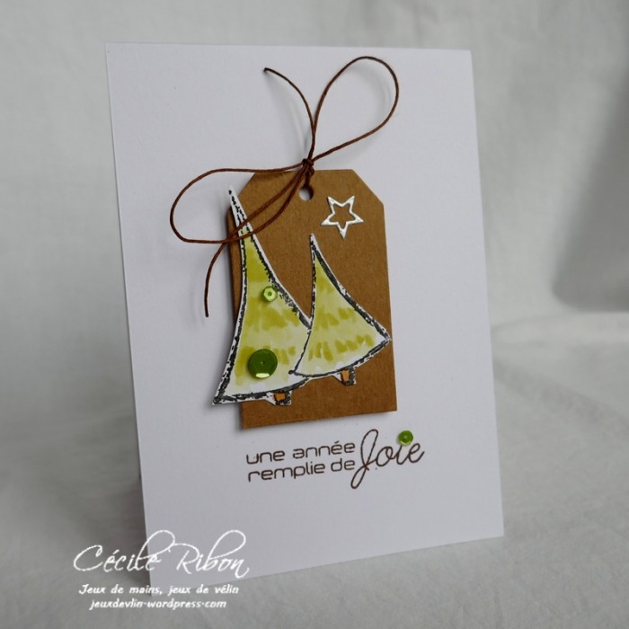 Carte CTD520 - P1010179