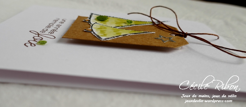 Carte CTD520 - P1010188