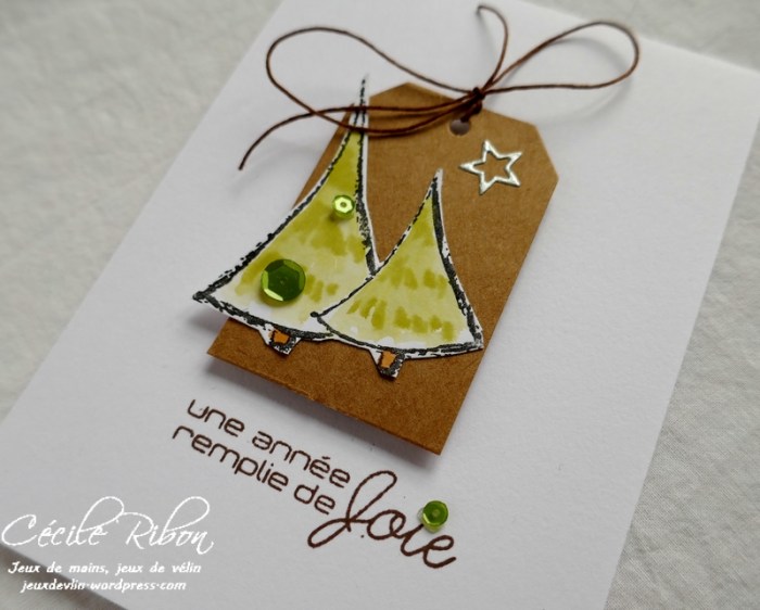 Carte CTD520 - P1010191