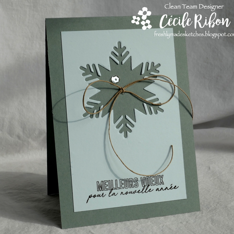 Carte FMS362 - P1000696