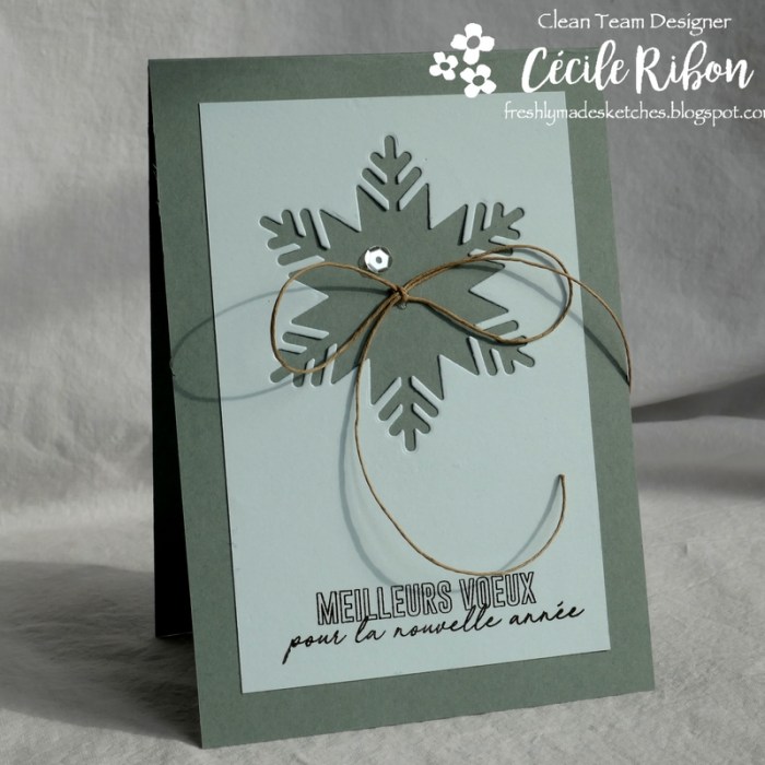 Carte FMS362 - P1000696