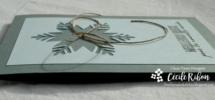 Carte FMS362 - P1000698