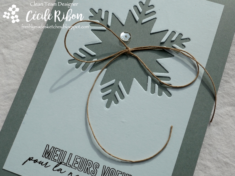 Carte FMS362 - P1000701