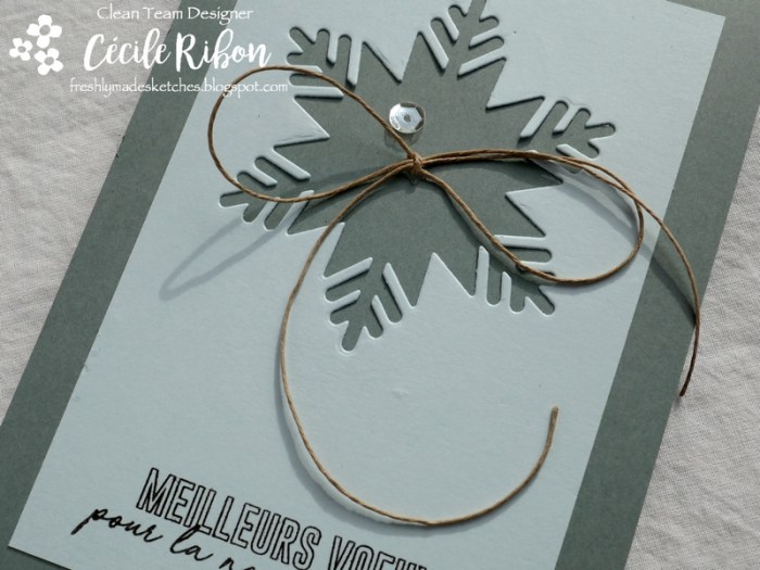 Carte FMS362 - P1000701