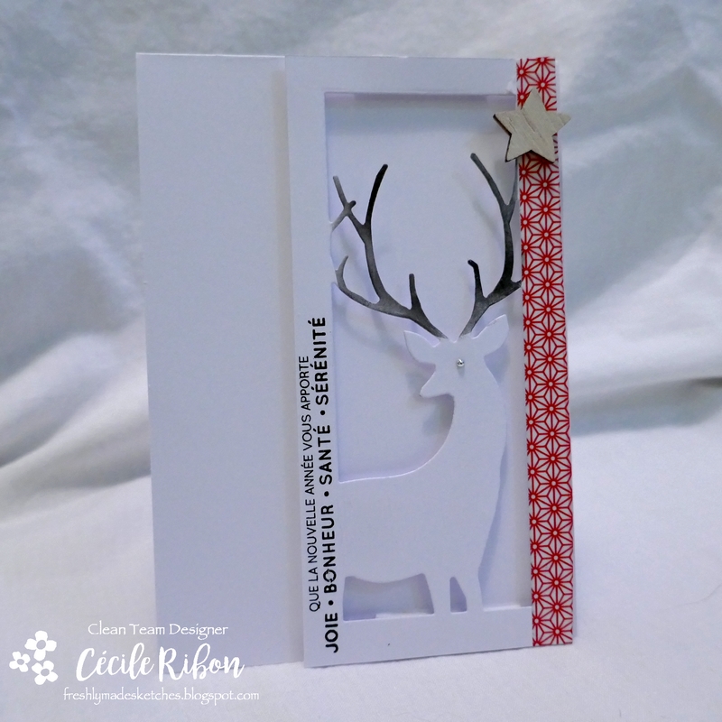 Carte FMS363 - P1010091