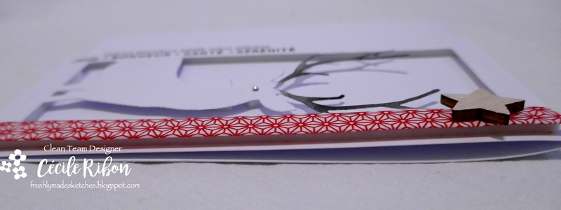 Carte FMS363 - P1010100