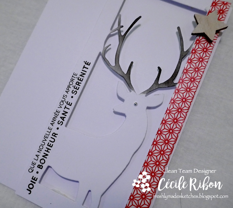 Carte FMS363 - P1010112