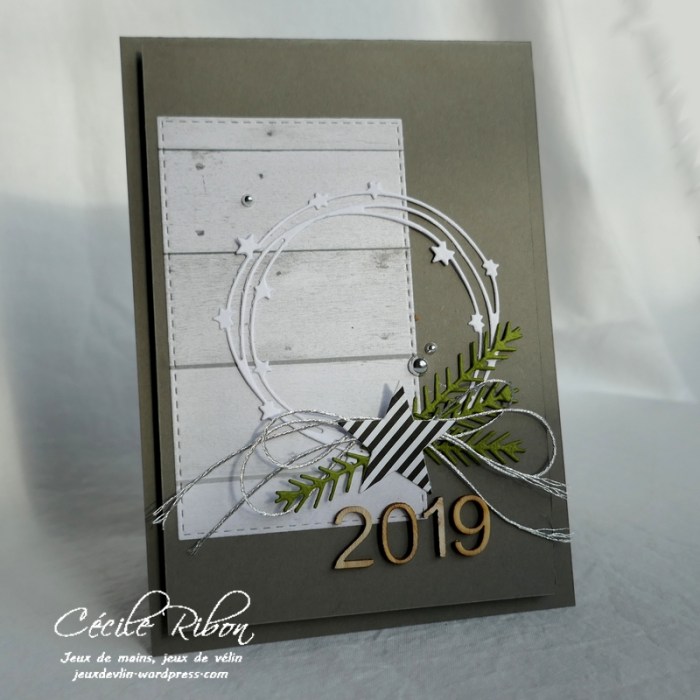 Carte FUSION40 - P1000832